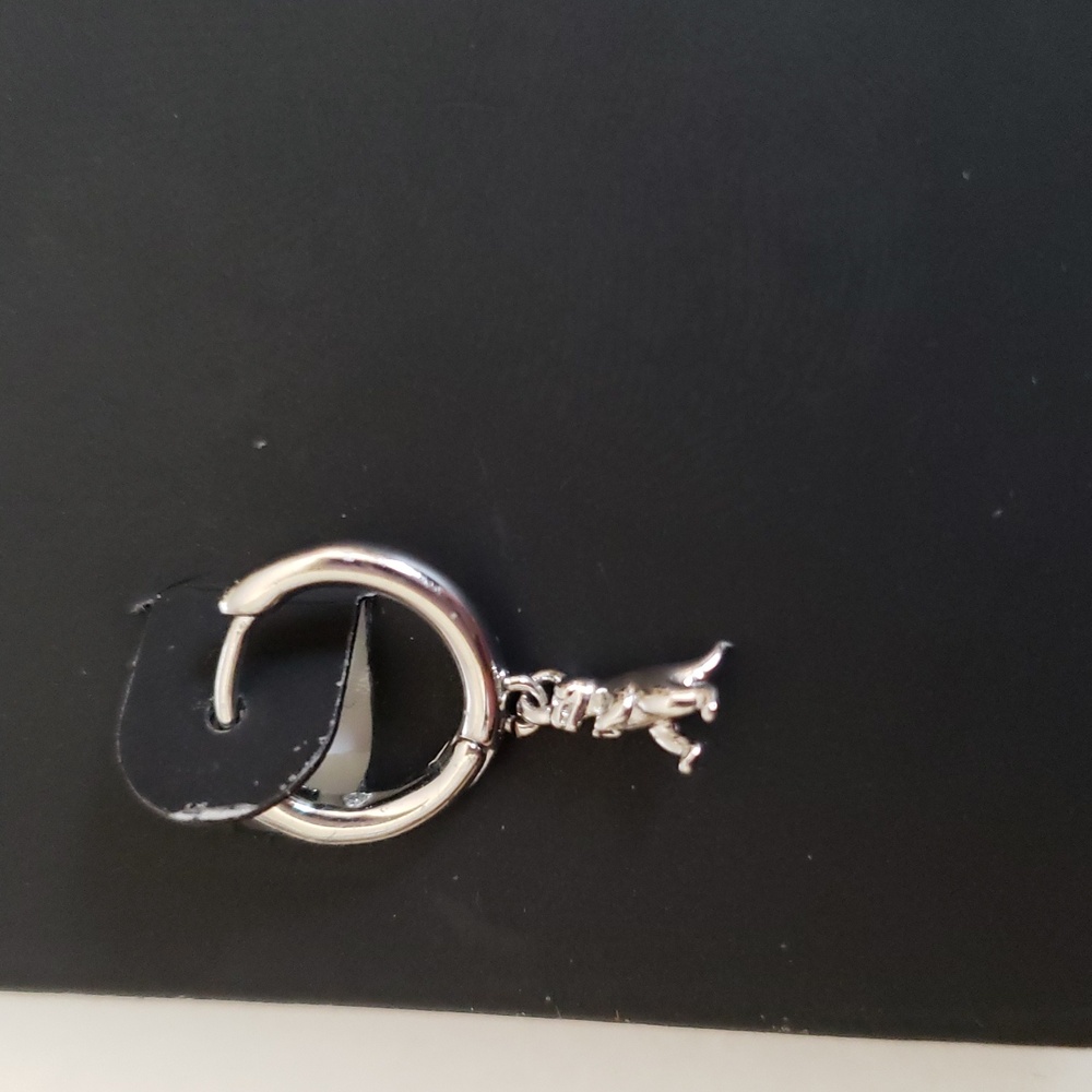 COACH REXY AND KEY EARRINGS - Picture 3 of 9